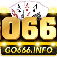 go666info