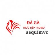 dagasequimvc