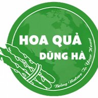 hoaquadungha