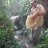 hai duong